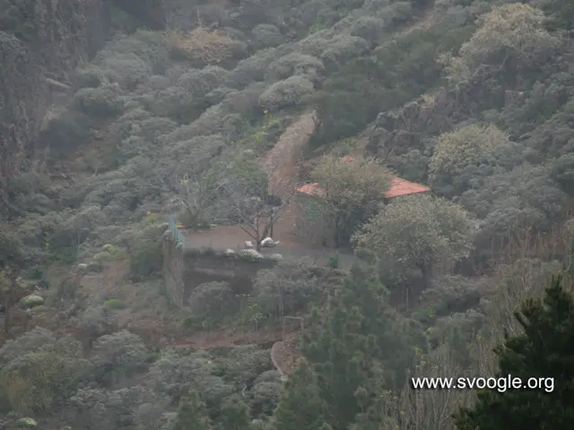 Fugitive Montanan, wanted for four murder charges following a bar shooting, confronts legal...