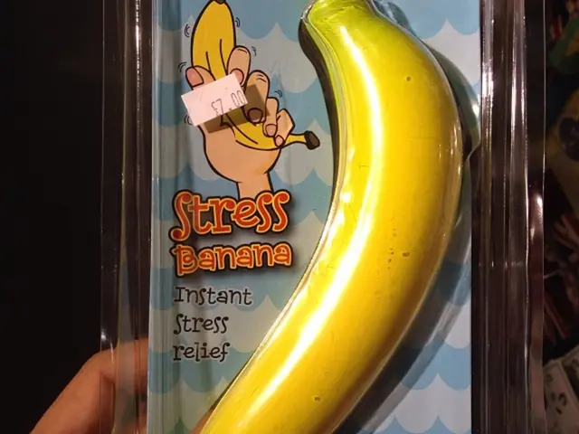 Does Stress Lead to Forgetfulness?