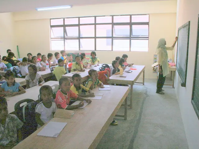 School container problem temporarily addressed with interim solution