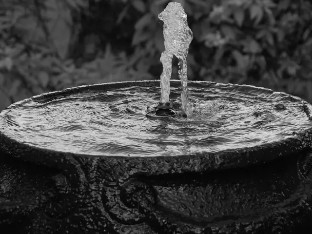 The rose garden will temporarily close and remain inactive till the arrival of spring in 2026.