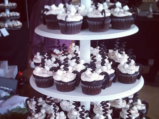 Film Director Jarmusch expresses concern over Mubi's ties to the Israeli military