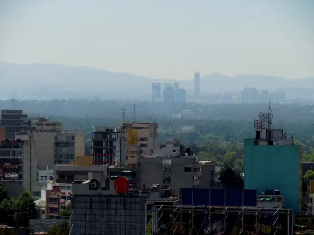 Financial Lessons Often Overlooked by Those Struggling Economically