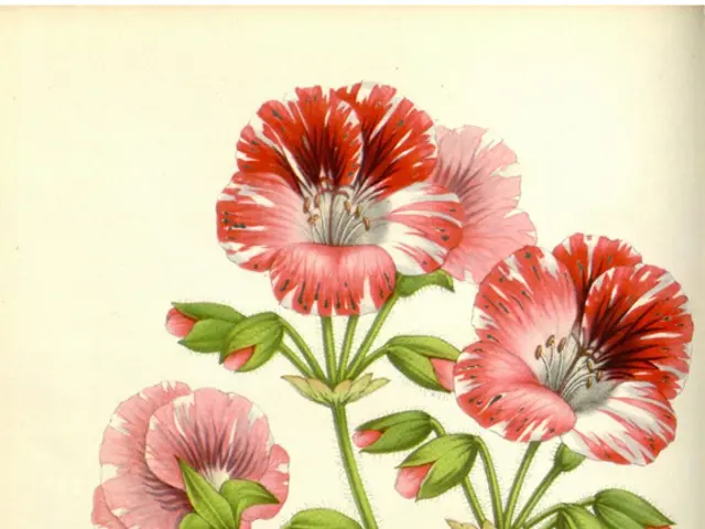 Latest Developments in Cosmetic Practices and Traditions