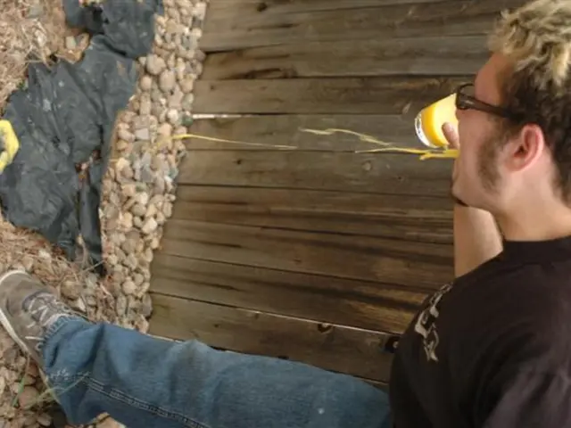 Managing Emetophobia: Strategies for Overcoming Fear of Vomiting