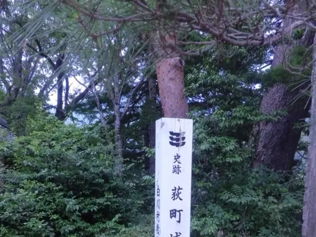 Trump's administration moves ahead with a plan to abolish restrictions on timber harvesting