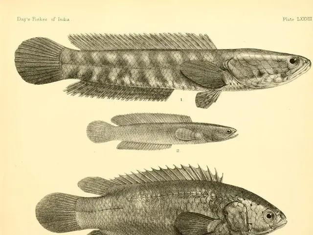 U.S. Marine Fisheries Department explores innovative strategies to bolster domestic seafood market