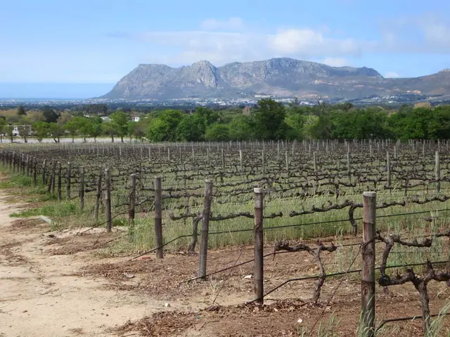 Farmland Values and Cash Rents in Western Ohio During 2015-2016 Period