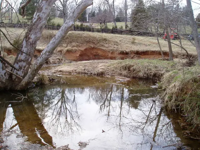 Boat overturns on Lake Constance - Men successfully saved from water