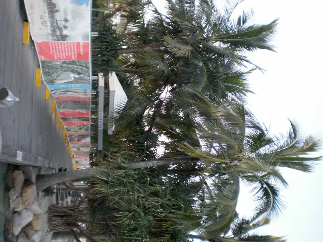 Travel Arrangement Service Outshines Google Maps in Planning Efficiency