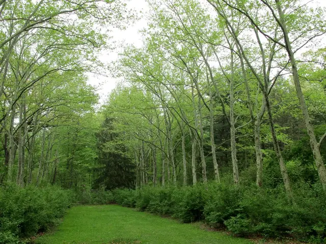 Regenerative agriculture moves beyond romanticized views of farming and sets its sights on the...