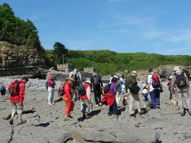 Older individuals reap dual benefits from walking vacations, pairing physical wellness with mental...