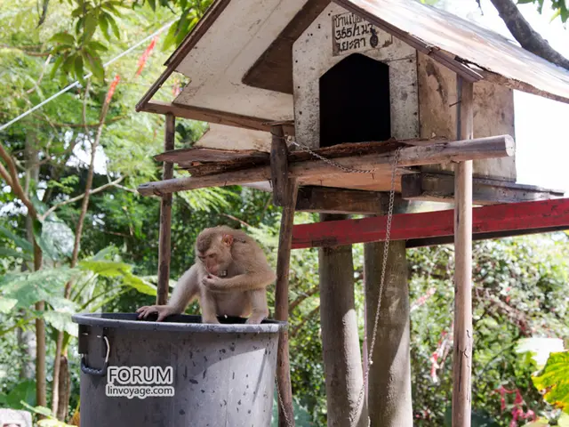 Strategies for Preventing Monkeys from Destructive Plant Interactions: Proven Repellent Methods