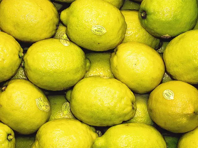 Optimal Time for Collecting Meyer Lemons: Recognizing Ripeness and Ideal Picking Periods