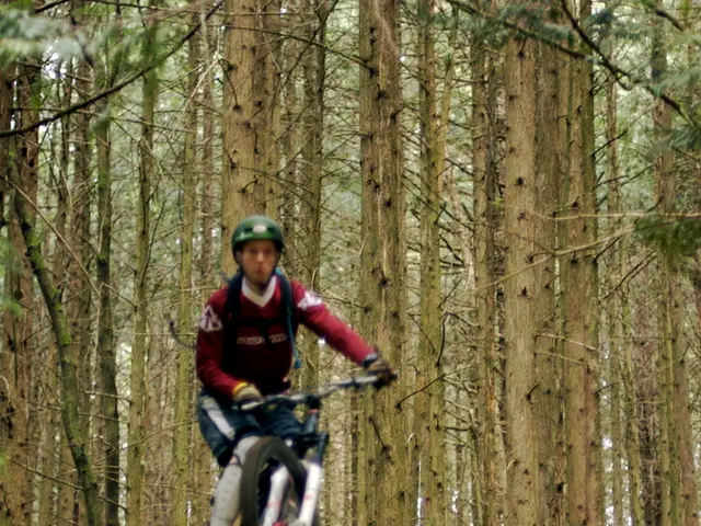 Indigenous Advocates Push for Increased Involvement in Climate Change Mitigation at COP28...