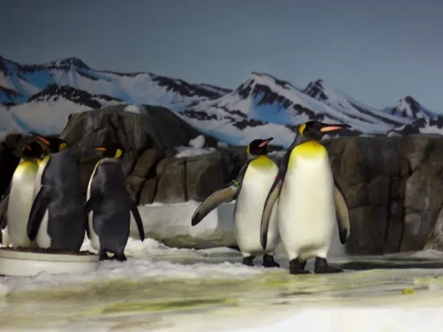 Antarctic Heatwave Unleashed: Timing, Causes, and Consequences Explained