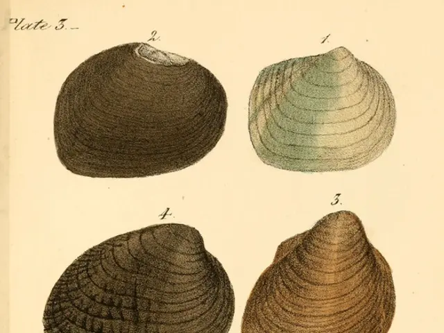 Qualys successively honored with two Pwnie Awards in 2025 for commendable OpenSSH investigations