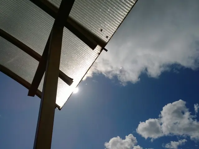 Identifying and Avoiding Expensive Roof Damage: Expert Roofers Reveal Their Secrets