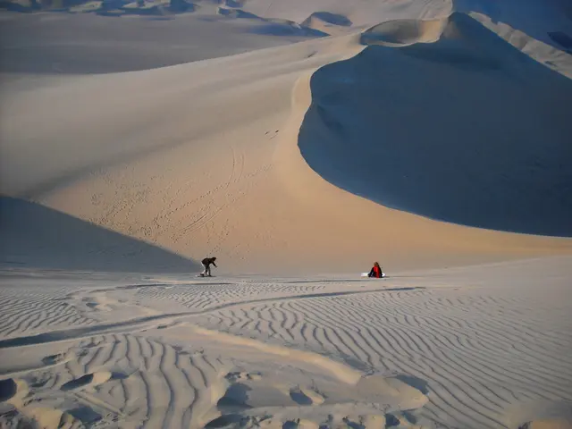 UAE and Tunisia embark on discussions for Comprehensive Economic Partnership Agreement, aiming to...