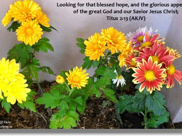 Word Clues, Indications, and Solution for August 31's Wordle (#1534)