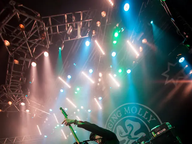 Summer Holiday for Turtles