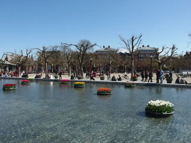 Persistent drought results in foul-smelling canals - city depends on rainfall to alleviate strain