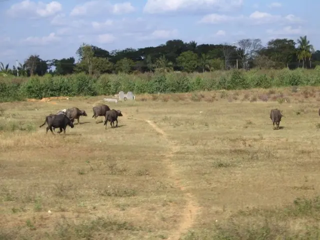 Farming Enterprises Eligible for financial Aid Reaching up to $100,000