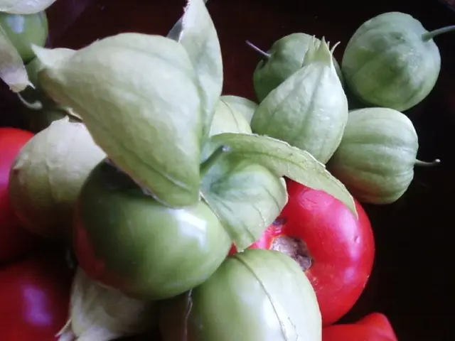 Heat-Resistant Gardening: Answers to Common Questions