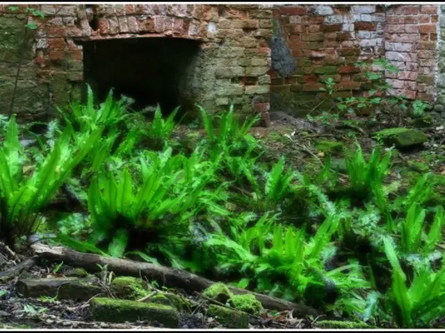 Earthquake of magnitude 6.0 hits the eastern part of Afghanistan, close to the border with Pakistan