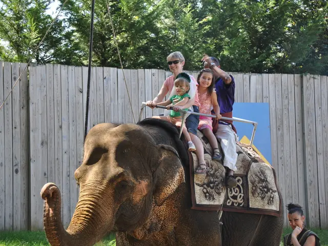 Taylor Sheridan ropes in Annette Bening for the Yellowstone narrative