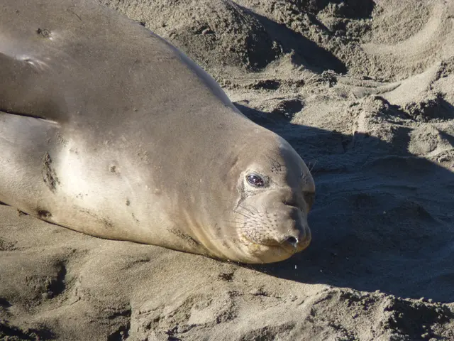 "Seventeen local authorities earn Labels for Secure Internet (LSI) due to enhancements in IT...