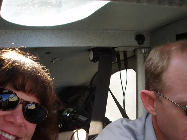 European Commission Contributing to the Development of a Green Paper on the EU's Future