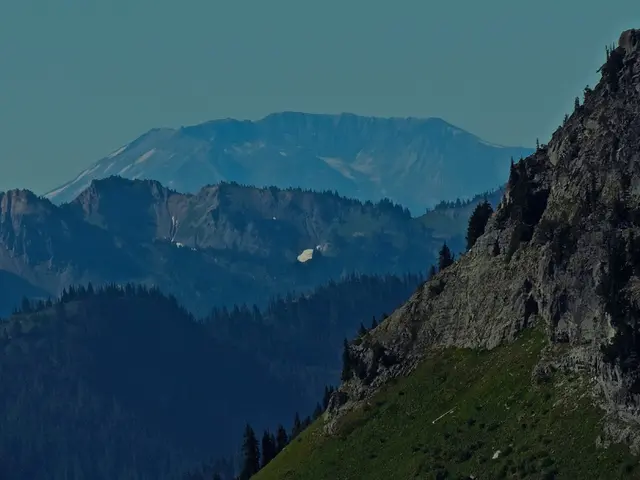 Rehabilitation Project Outlined for Alhaurin Forests through Everesting Event