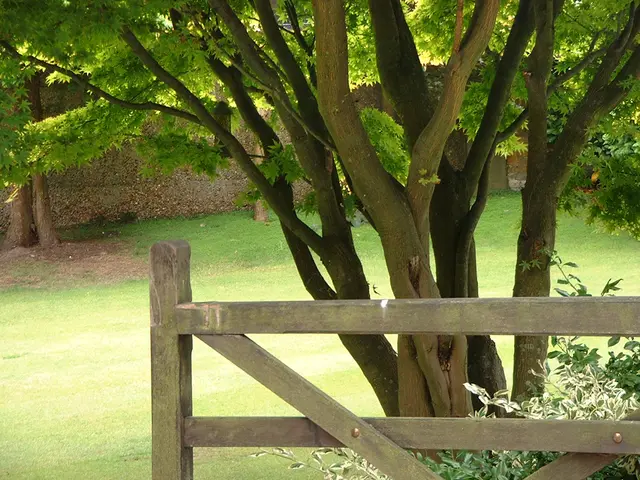 In the midst of Europe's fire, is it feasible for the European Central Bank to transform rhetoric...