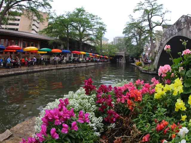 Businesses in Latvia persistently advocate for tax reductions on catering services