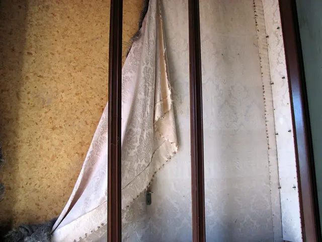 Austria collaborates closely with its neighboring countries on significant matters