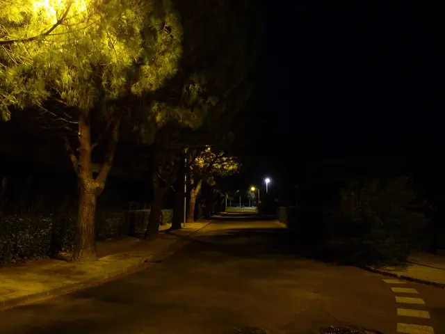 Obstacles in the forest originating from logging activities