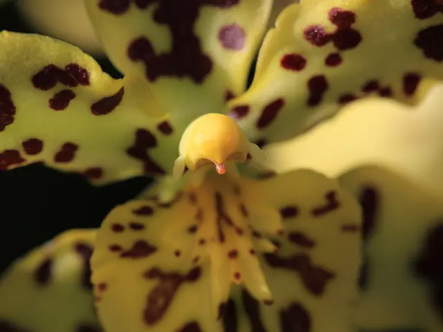 Health Care Professionals and the Burden of OCD Stigma