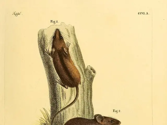 Genes and Environment Contributing Factors Behind Obsessive-Compulsive Disorder (OCD)