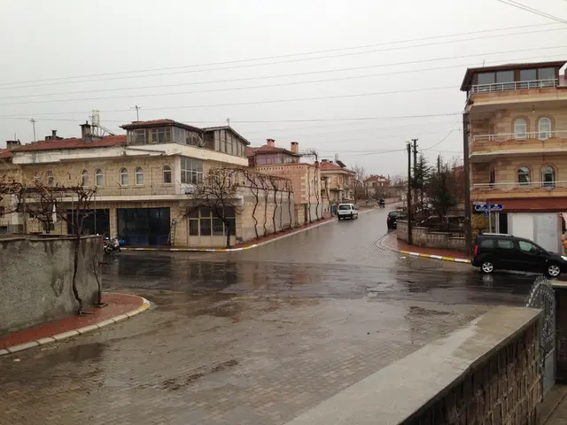 Anticipating Electric Vehicles Integration in India