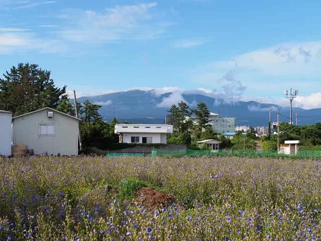 Accelerating Electrification and Quick, Economical Building Projects can Harmoniously Coexist