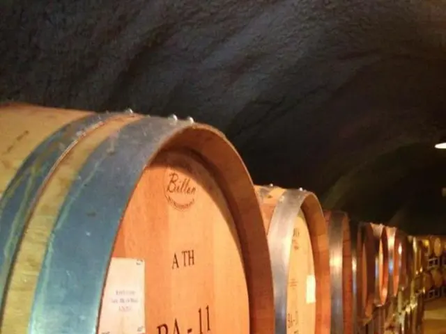 Industry leaders in oil and gas commit to collaborating on cybersecurity matters during the World...