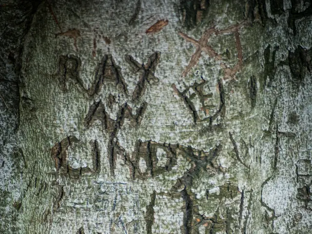 Protesting Truck Drivers in Bosnia obstruct key roads in response to European Union regulations