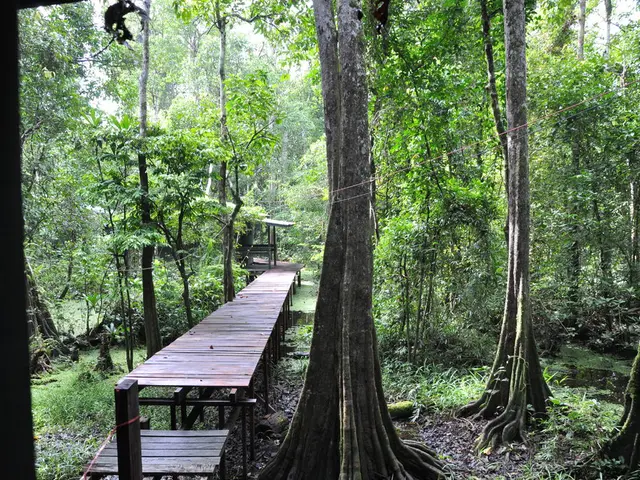 Inspiring Garden Pathway Concepts Using 24 Naturally-Sourced Rock Arrangements