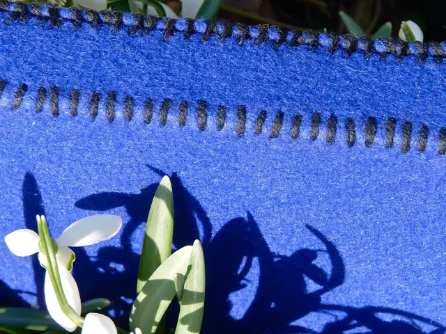 Chiffon Textile Production Facility Report of 2024: Insights into Market Dynamics, Production...