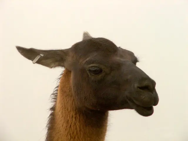 Persistent Issue: Understanding the Reason Behind JVC Earbuds Continually Slipping Out