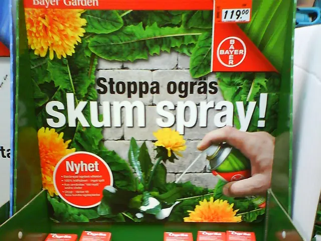 Police are investigating a targeted hotel intrusion and robbery that occurred in Renfrew, Ontario.