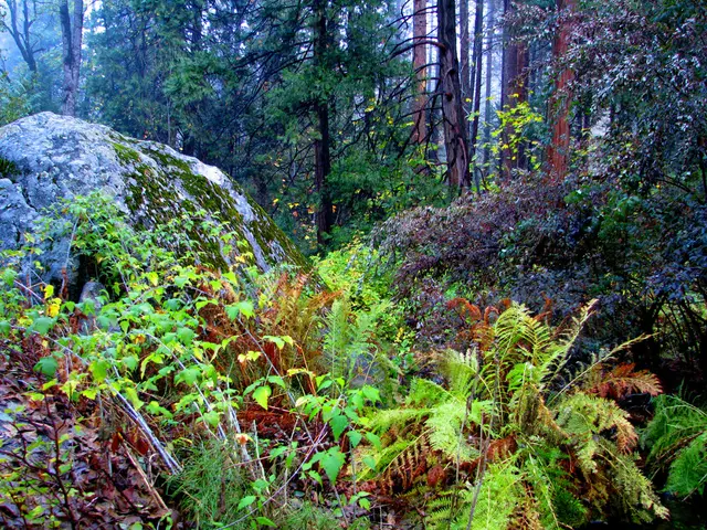 Exploring Wildlife Havens: Insights into Bannerghatta National Park, Karnataka