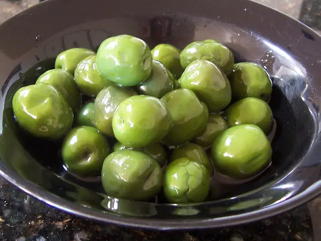 Booming oil tourism: Exploring the rise of olive oil destinations