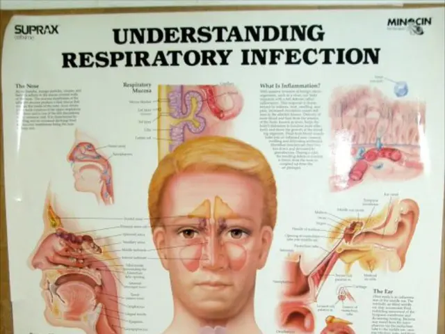 Remains Discovered at Silbersee: Officials Initiate Wide-Spread Information Drive