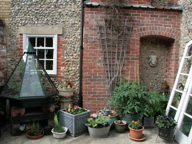 Convenient Window Sill Plants for Students' Dorm Rooms